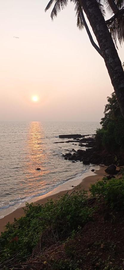 Perch By The Sea Bed and Breakfast Kannur Exteriör bild