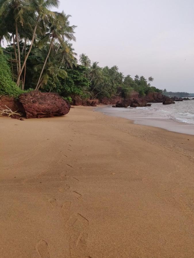 Perch By The Sea Bed and Breakfast Kannur Exteriör bild
