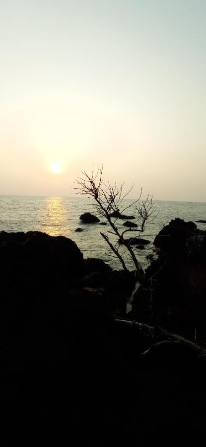 Perch By The Sea Bed and Breakfast Kannur Exteriör bild