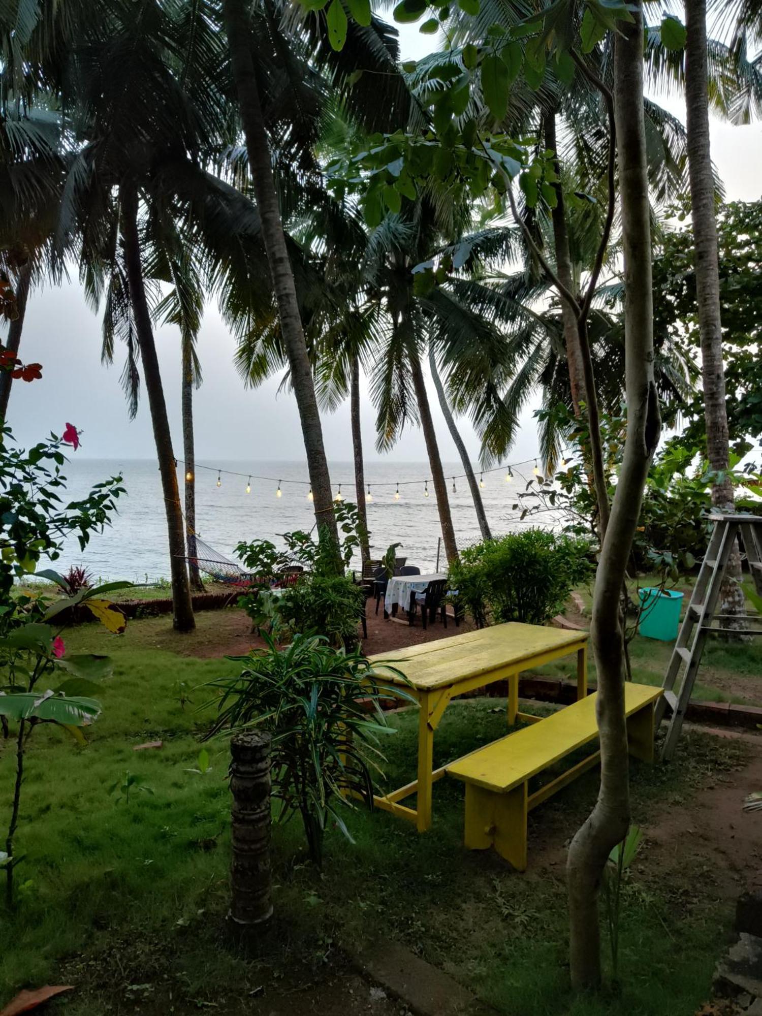Perch By The Sea Bed and Breakfast Kannur Exteriör bild